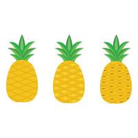Pineapple. a tropical fruit that is fresh and rich in nutrients. vector