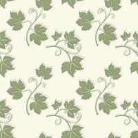 Pattern with Grapevine with leaves, green vine silhouette on light beige background. vector