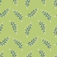 Arugula leaves pattern, leafy vegetables. Microgreen. On green background. vector