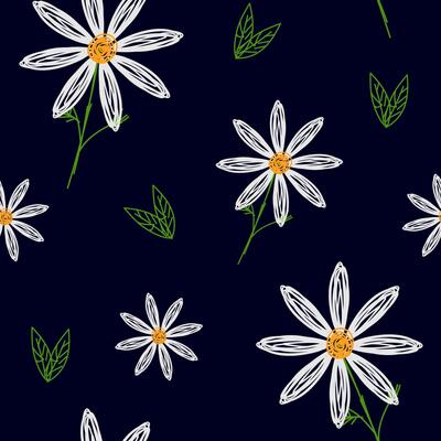 Hand-drawn daisies floral pattern background