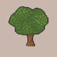 Fruit tree in pixel art style with isolated background vector