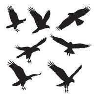 Collection of hawk shadow figures on white background vector