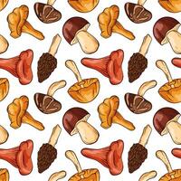 Seamless pattern of cartoon style mushroom on white background. Boletus, porcini, Chanterelle, Morel, Niscalo, Shiitake, Autumn Skullcap. Perfect for food nature or botanical autumn design. vector