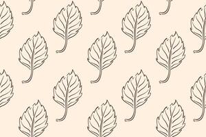 Seamless pattern with autumn birch leaf in line art style. Perfect for wallpaper, gift paper, web page background, autumn greeting cards. vector