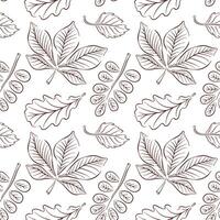 Autumn forest leaf seamless pattern in line art style. Chestnut, acacia, oak, birch background design for greeting, invitation, wrapping paper, textile. vector