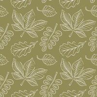 Autumn forest leaves seamless pattern in line art style on green background. Chestnut, acacia, oak, birch background design for fabric, wallpaper, wrapping paper and fall decoration project. vector