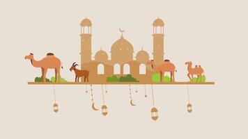 Camel caravan in front of mosque architecture video