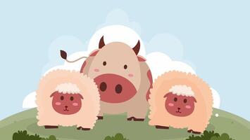 Two sheep and a cow resting on grass for Eid video