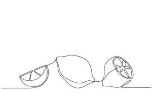 Continuous line drawing of lemons and lime on a plain background showing simplicity and elegance vector