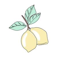 Bright and fresh lemons with green leaves on a simple white background vector