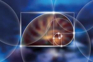 Fibonacci number sequence. Golden ratio. Geometric shapes spiral. Snail spiral. Nautilus Seashell. Sacred geometry template. Logarithmic sequences. Blurred blue sea bottom background vector