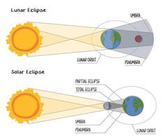 Solar and lunar eclipse infographictyle on white background. Moon's orbit, umber and penumbra. The Moon passes between the Earth and the Sun. astronomical event phenomena of the full red moon vector