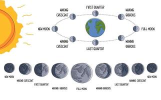 Lunar Orbit and Eclipse Stages Illustration in flat style on white background. Lunar Shadow Path Diagram. All phases of the moon visible from earth in the northern hemisphere vector