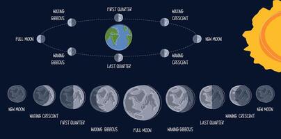 Lunar Orbit and Eclipse Stages Illustration in flat style on dark background. Lunar Shadow Path Diagram. All phases of the moon visible from earth in the northern hemisphere vector