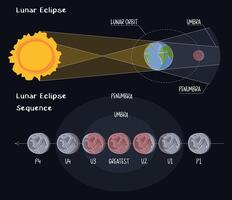 Infographic of lunar eclipse stages in flat style on black background. Moon's orbit, umber and penumbra. Blood moon phases. The contact of the earth shadow with the moon vector