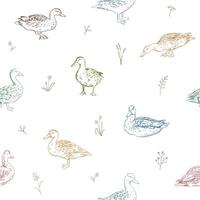 Ducks and flowers seamless pattern. Hand-drawn mallard duck illustration with wildflowers and herbs on white background. Springtime pattern with nature elements and waterfowl aquatic birds vector