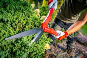 Gardener Using Pruning Shears to Trim Bushes in a Vibrant Garden During the Daytime photo