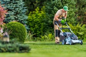 Man Mowing Grass in a Lush Garden on a Sunny Day With Vibrant Greenery and Well-Maintained Plants photo