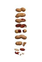 Peanuts with shell isolated on white photo