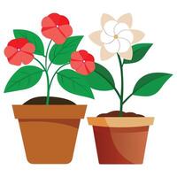 Two potted flowering plants with contrasting colors vector