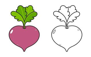 Cartoon Beetroot graphic, vivid color and monochrome versions, perfect for children's learning resources and playful design projects vector