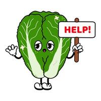 Cartoon Napa Cabbage holding a help sign, expressing exhaustion and a strong need for assistance with a worried and distressed look vector