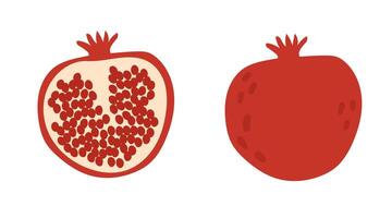 Pomegranate red ripe fruit. Set of two pomegranates one whole and second halved. illustration isolated on white background vector