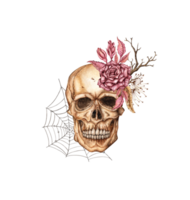 Skull face with dark red rose, dried flowers, branches and cobweb watercolor illustration. Bones in gothic style. Day of the Dead, Halloween, Dia de los muertos. Isolated from background. Symbolism png