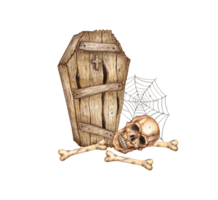Old wooden coffin, skull, bones and cobweb for Halloween. Dead man's box isolated from background. Attribute for ritual burial. Conceptual design for poster, postcard, banner, wallpaper, wrapping png