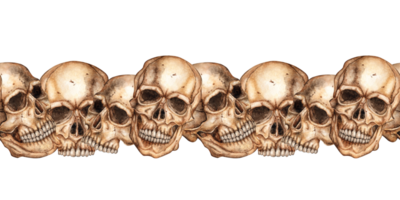 Human skull realistic watercolor illustration. Bones are creepy, terrible. Day of the dead, Halloween, Dia de los muertos. Isolated from the background. The pattern is horizontal. Ideal png