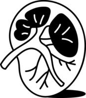 A hand drawn style icon of kidney vector
