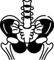 A drawing style icon of pelvic bones vector
