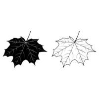 Maple Leaf Outline Illustration. This is an illustration of a maple leaf in an outline, black and white style. vector