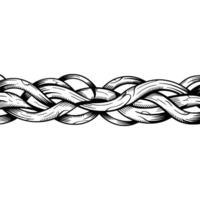 Handdrawn Rope Pattern with White Background. vector