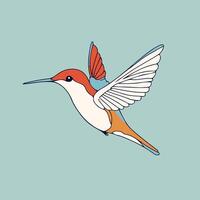Colorful Hummingbird In Flight Pose vector