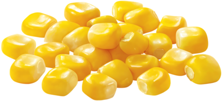Pile of Sweetcorn Kernels Isolated Close Up On Transparent Background png
