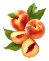Collection of Peaches and Peach Slices on Transparent Background Isolated Best Quality png