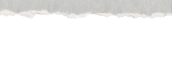 Isolated Torn Paper Edge Element on Transparent Background for Digital Compositing Design png