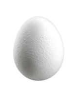 Close up Image of a White Chicken Egg Isolated on Black Background png