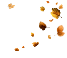 Autumnal Falling Leaves Image with Transparent Background in Isolated Design Style png