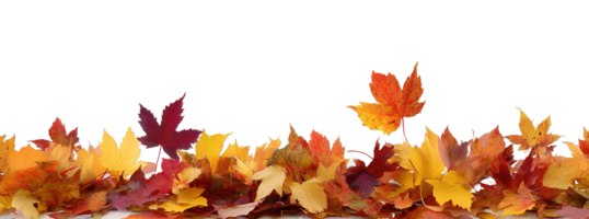 Autumn Colorful Border of Fall Leaves on Ground Transparent Background Isolated png