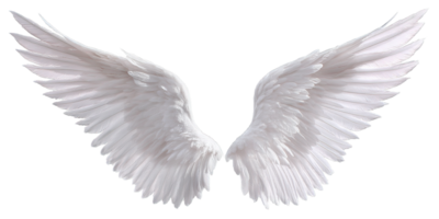 White Angel Wings Isolated on Transparent Background for Beautiful Graphic Resources png