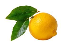 Fresh Lemon with Leaves and Water Droplets Isolated on Transparent Background Image png