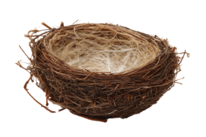 An Empty Bird Nest On A Transparent Background Isolated Image png