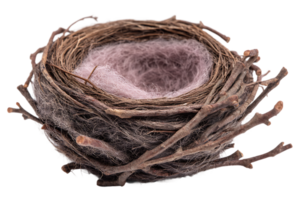Isolated Woven Nest Made of Twigs and Lined with Soft Material Isolated png