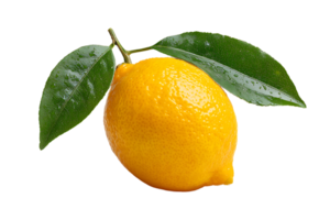 Fresh Lemon Fruit with Leaves Transparent Background Isolated for Design Elements and Mockups png