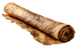 Old Paper Scroll Isolated with Transparent Background Vintage Parchment for Design Element png