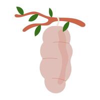 Chrysalis Hanging on Branch, A pink chrysalis hangs from a branch, symbolizing transformation and growth. The delicate leaves add a touch of nature's beauty, reminding us of the cycle of life vector