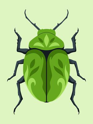 Green Beetle with Floral Design Illustration