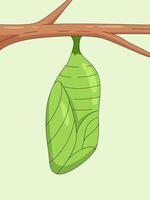 Chrysalis on a Branch, A delicate green chrysalis hangs from a slender branch, symbolizing transformation, growth, and the promise of new beginnings vector